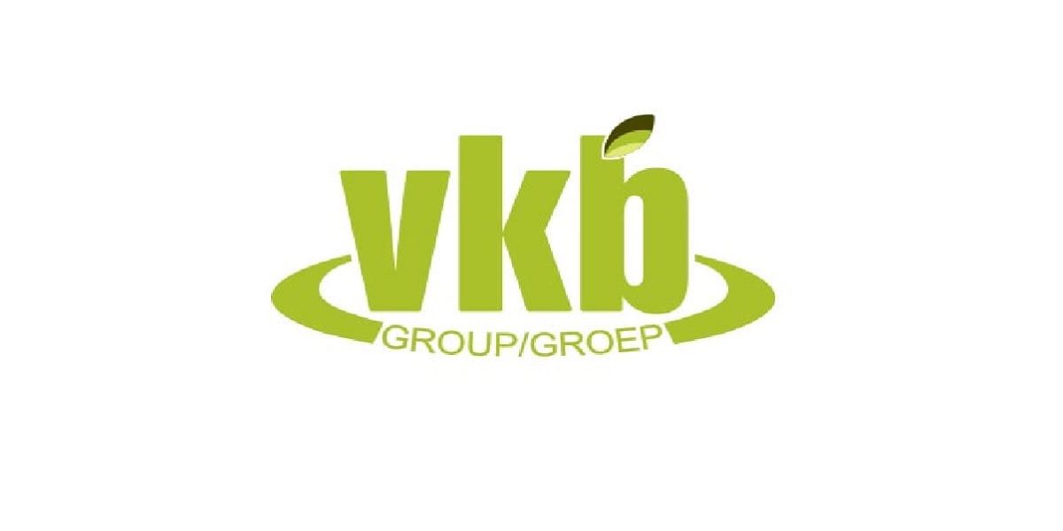 vkb-group-logo